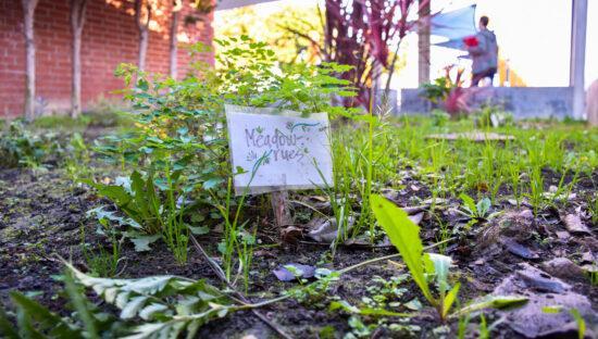 Fountain Valley High School