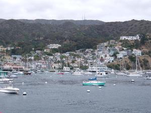 Catalina Island field trip
