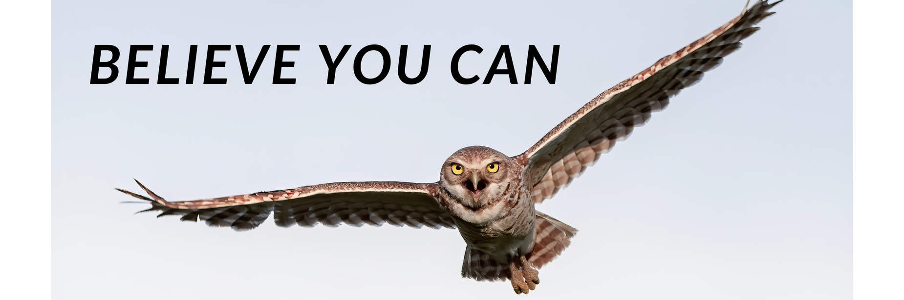 Believe You Can
