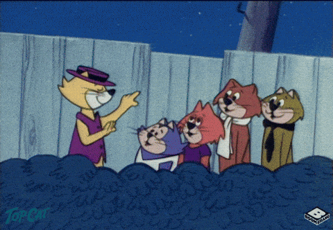 Tom Cat singing with other cats