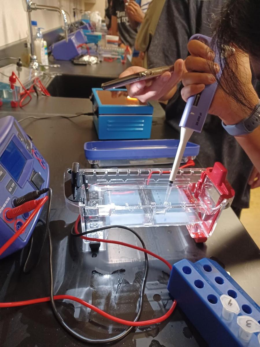 Biomed students working hard