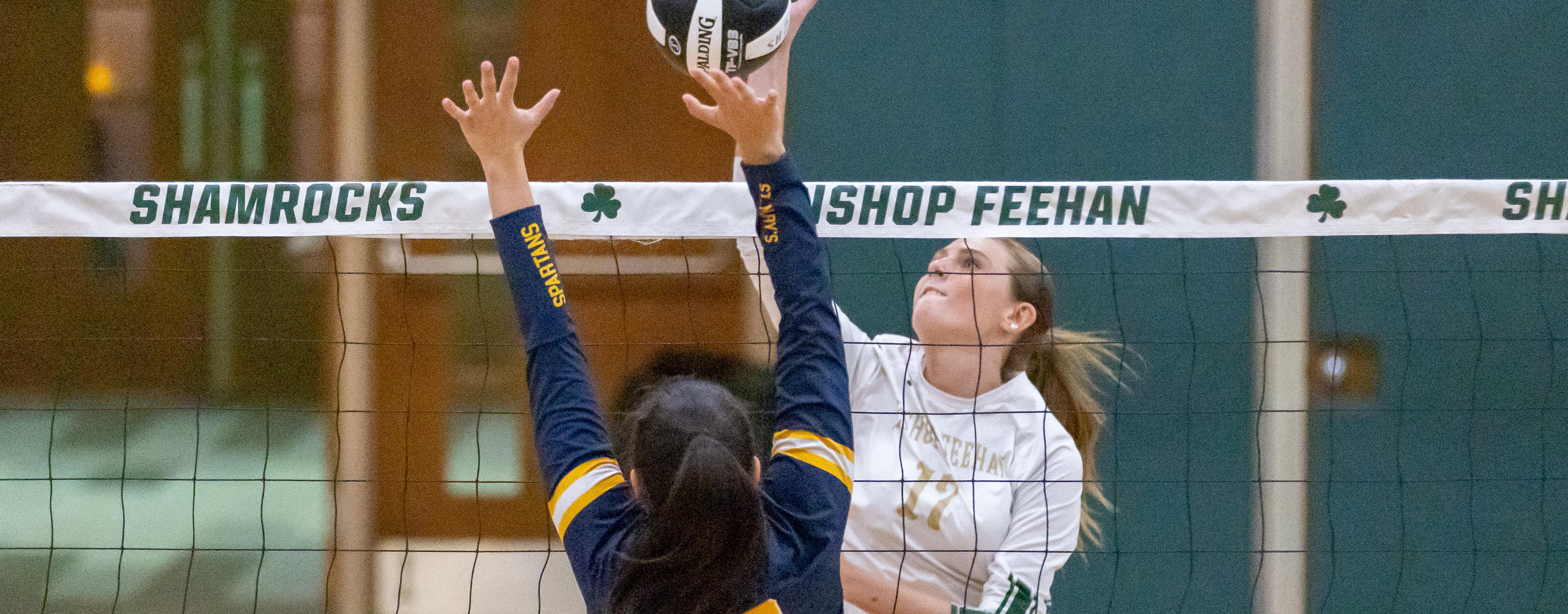 volleyball