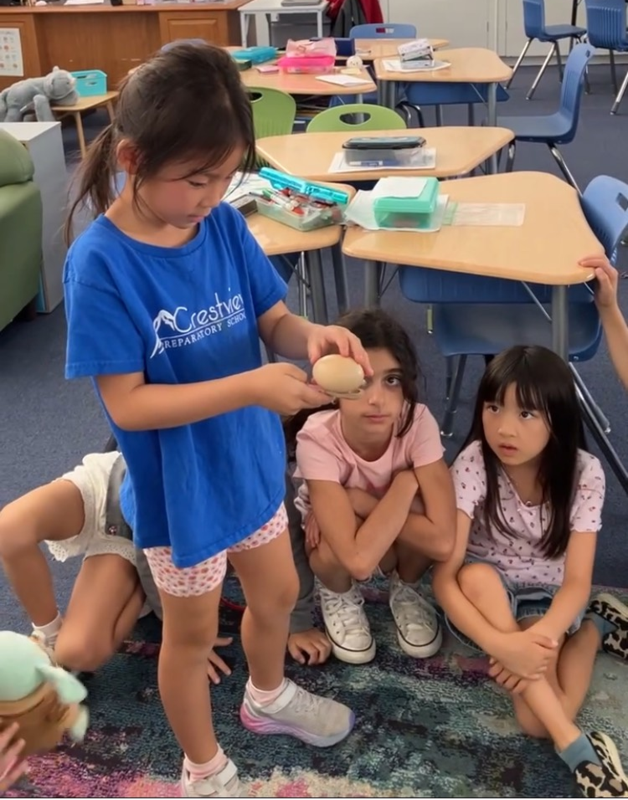 Lower Elementary Computer Science and Mindfulness