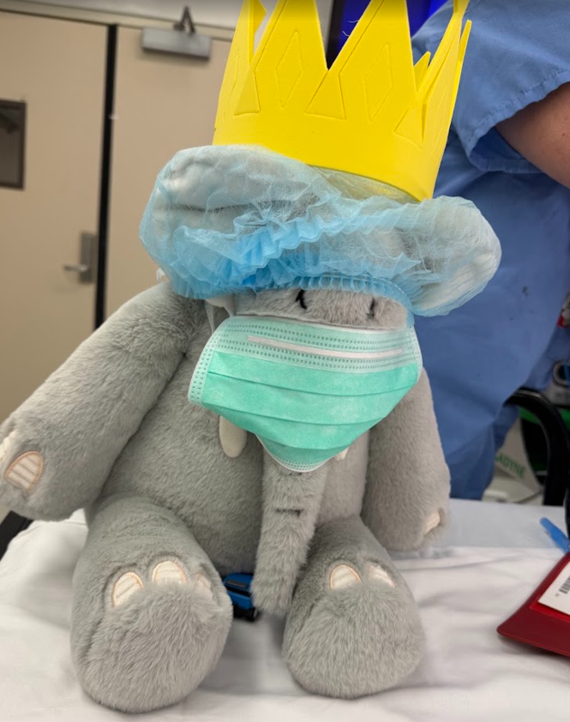 Stuffed Animal Fundraiser