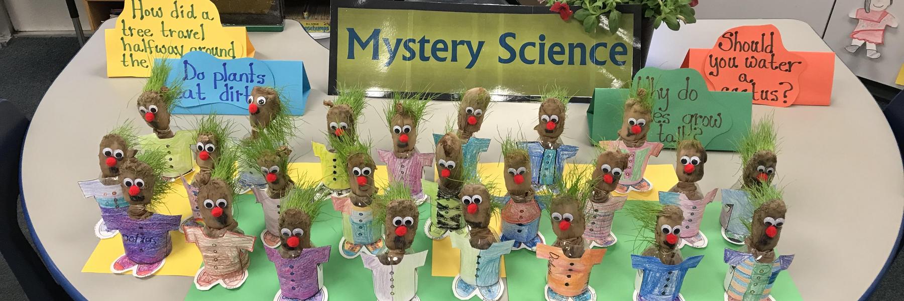 Second grade Mystery Science Project