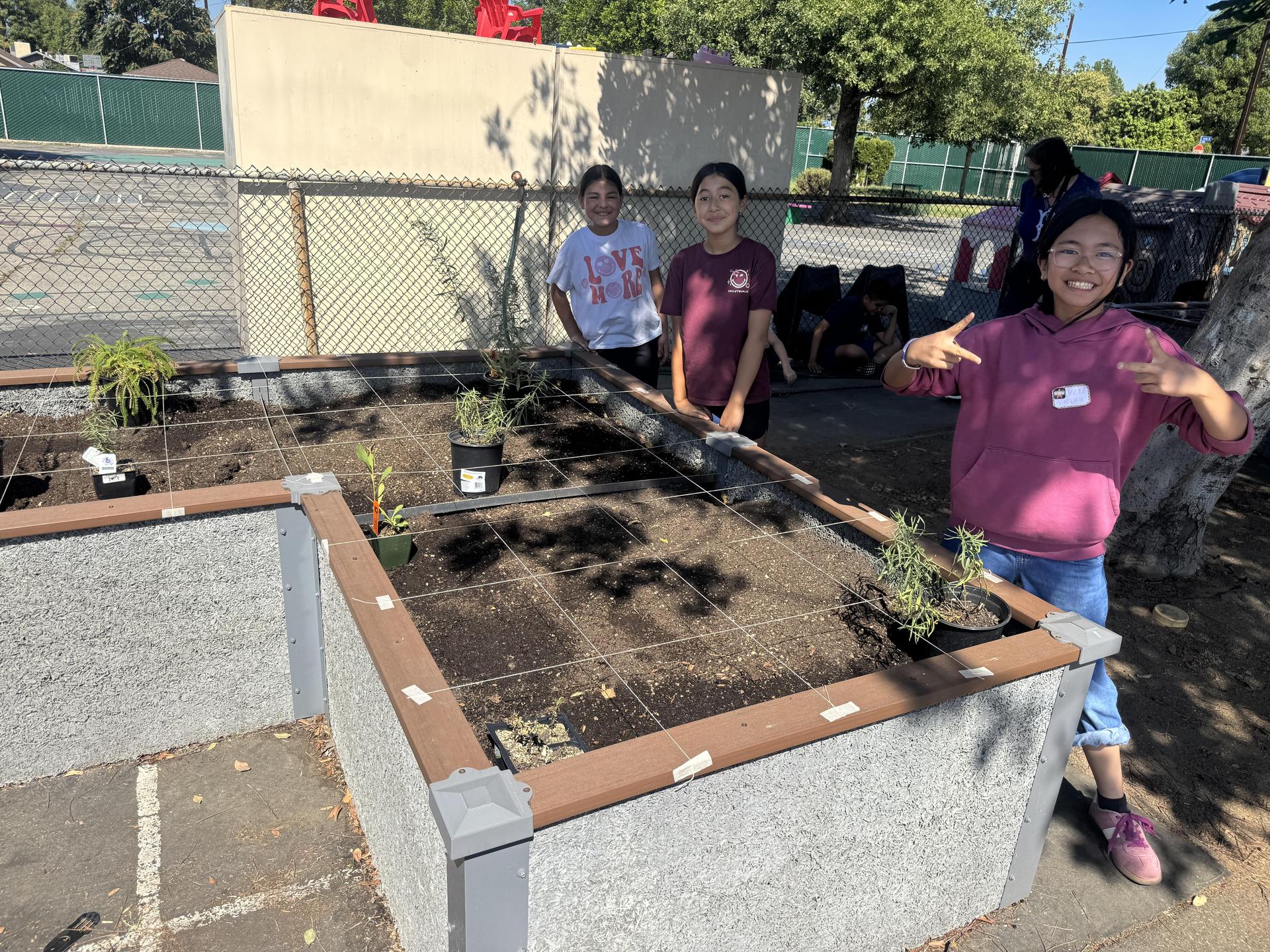 Lorne's Monarch Butterfly Sanctuary Garden