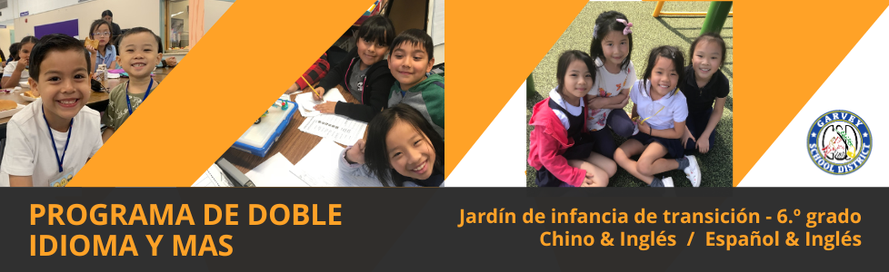 PROGRAMA DE DOBLE IDIOMA Y MAS