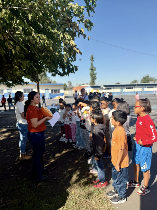 Alcott Pumpkin Patch Photos - image for news story