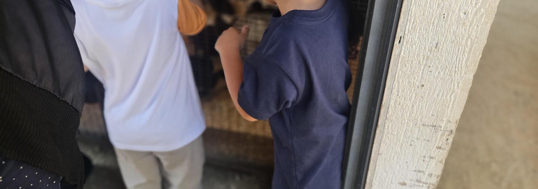 Pumpkin patch Field Trip