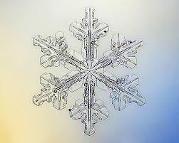 A picture of a snowflake