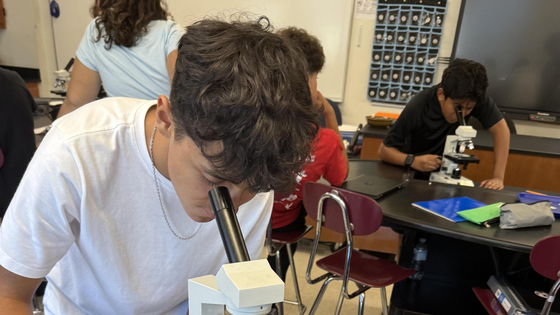 Microscope
