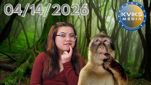 Thumbnail News Bulletin.jpg