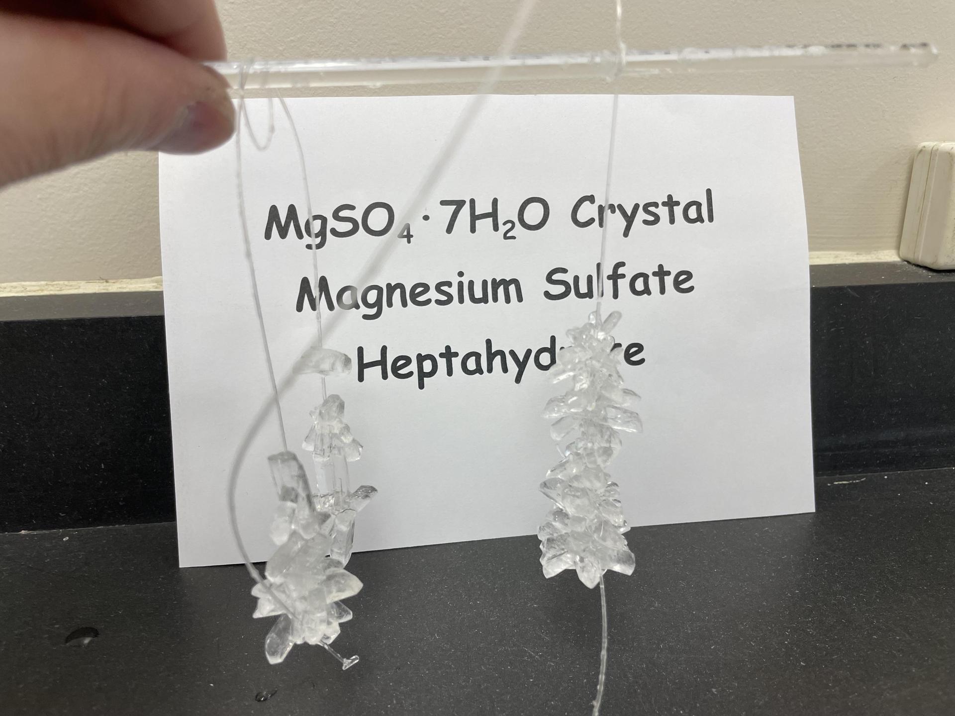 A hand holds crystal formations of magnesium sulfate in front of an explanatory sign.