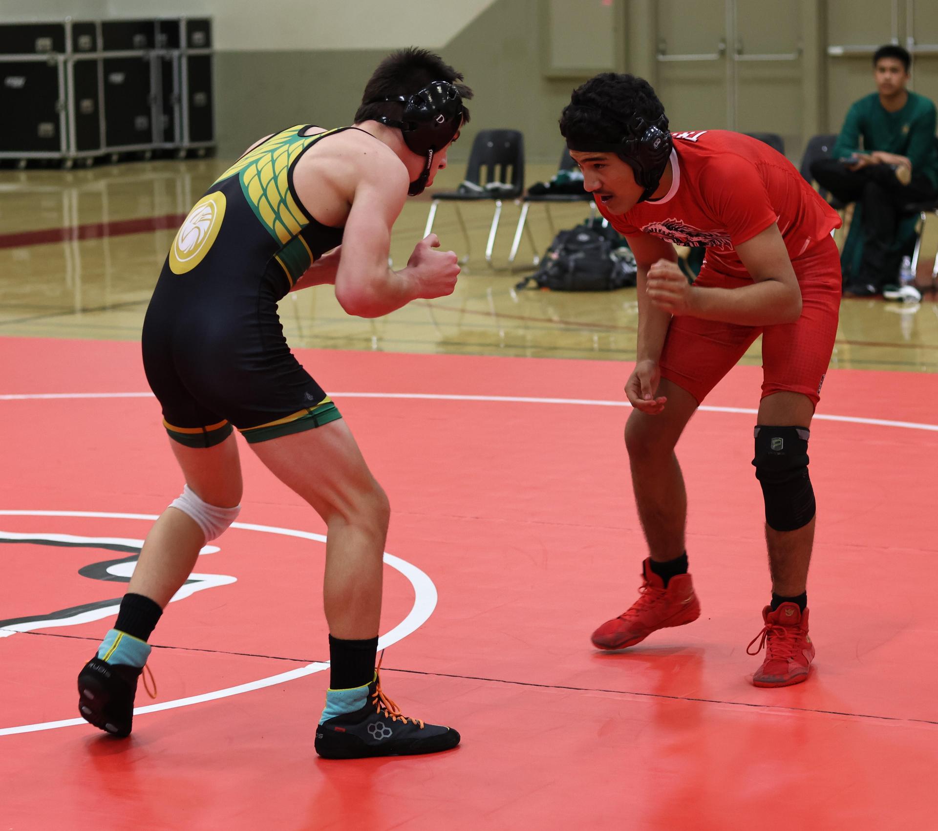 wrestling against yosemite