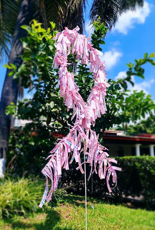 CEAM se une a la conmemoración del Día de la Prevención del Cáncer de Mama 🎀