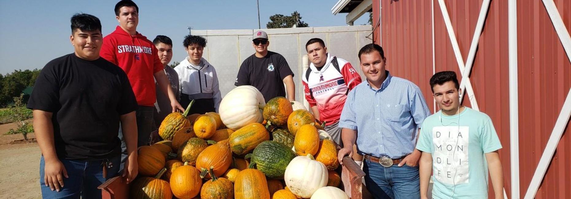 Pumpkin