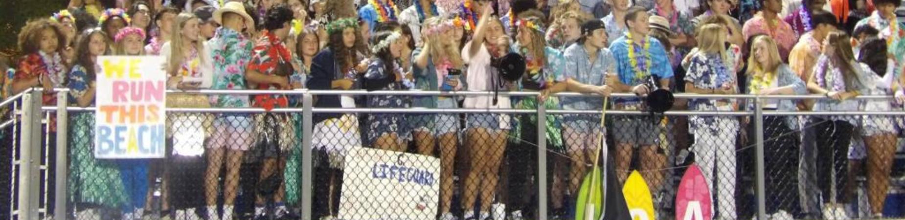 crowd at a football game