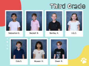 yellow, blue, and red circles with courage students