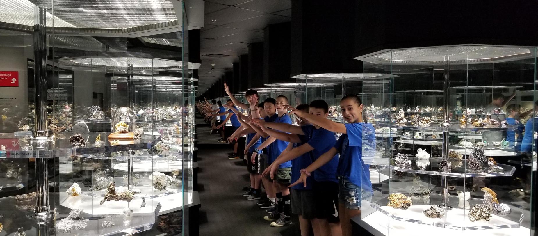 Carnegie Museum of Natural History
