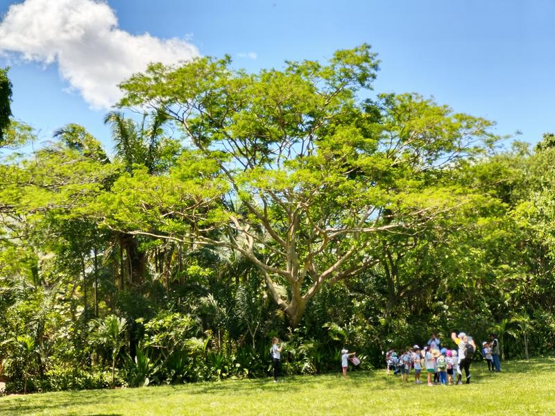 Salida al Parque Ecológico Yvaga Guazú K1 y K2 2025