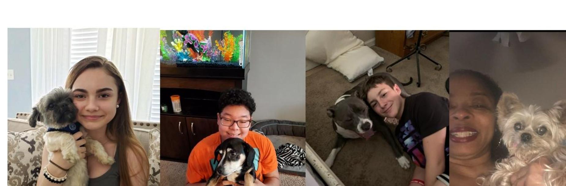 Pet