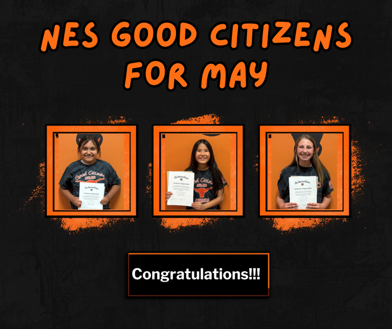 Good Citizen