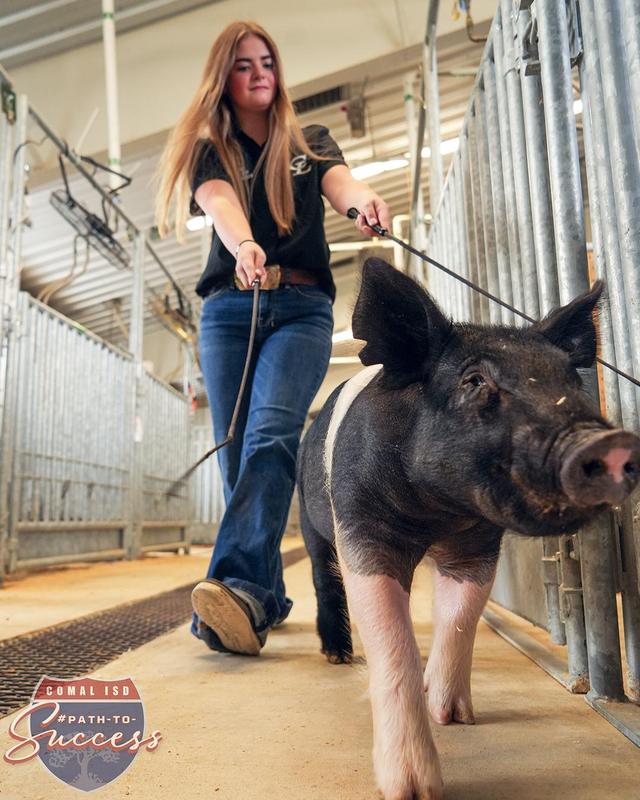 Canyon Lake High School sophomore Abigail Smelley walking her pig.