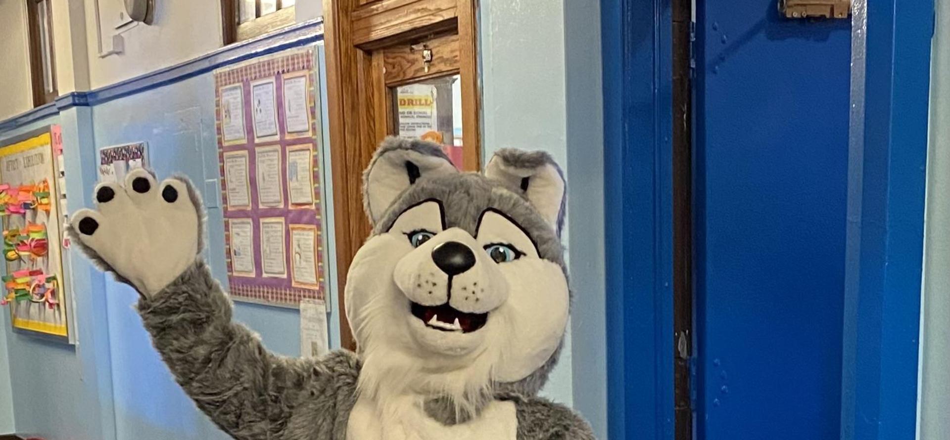 A person in a husky mascot costume waving cheerfully in a school hallway.