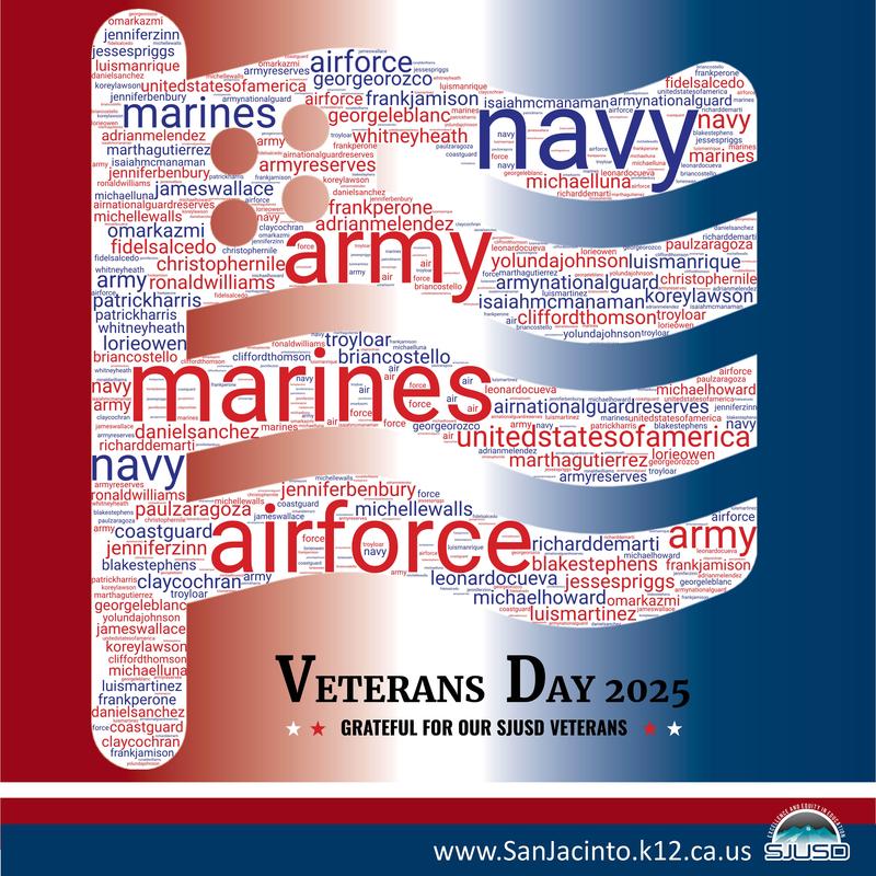 Veterans Day Word Cloud Graphic