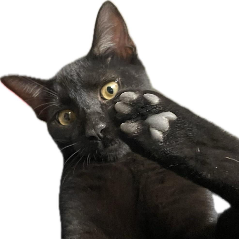 LiliaGrealy's Profile Photo