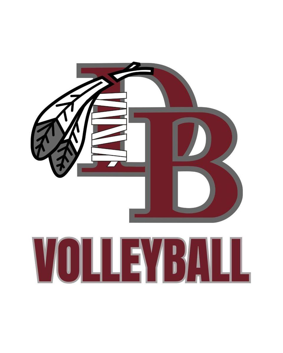 Volleyball Logo