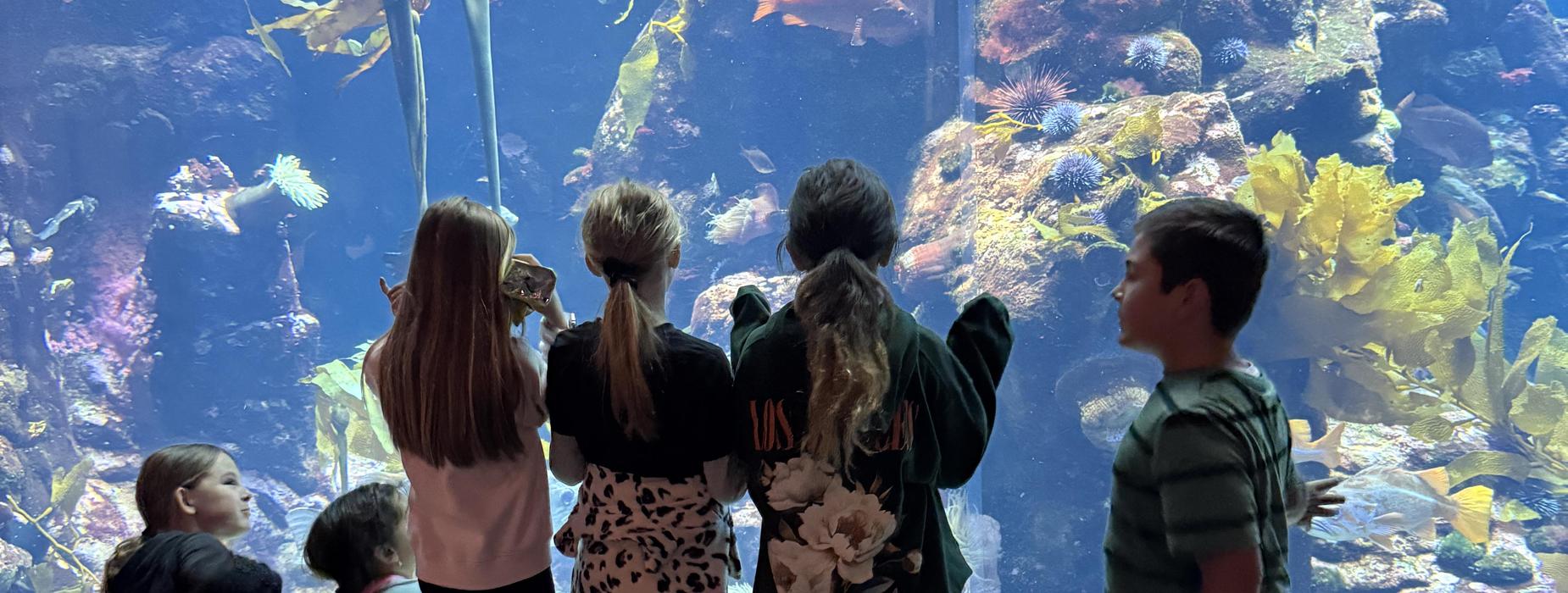 3rd grade field trip