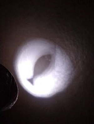 shadow tubes (1)