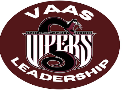 Viper Leadership