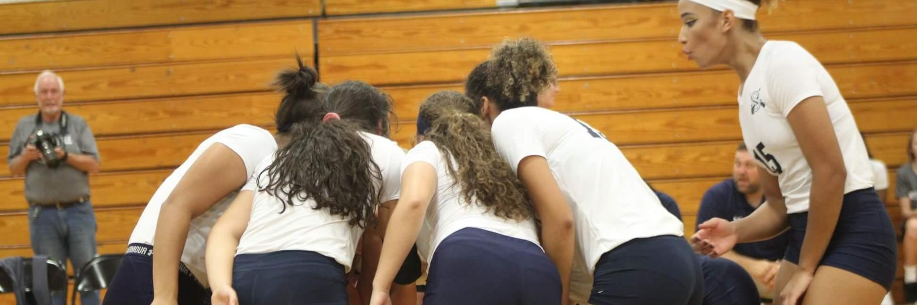 Volleyball players