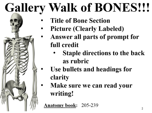Gallery Walk of Bones Poster Directions.PNG