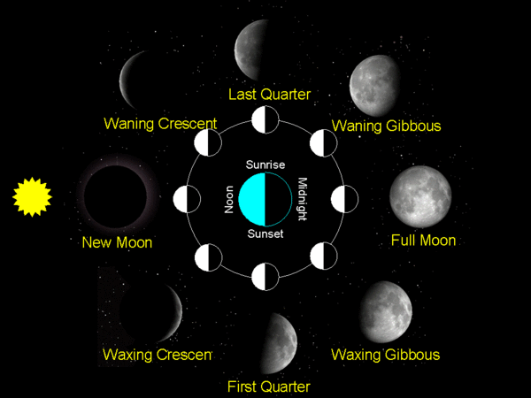 01 ch 1 moonphase.gif
