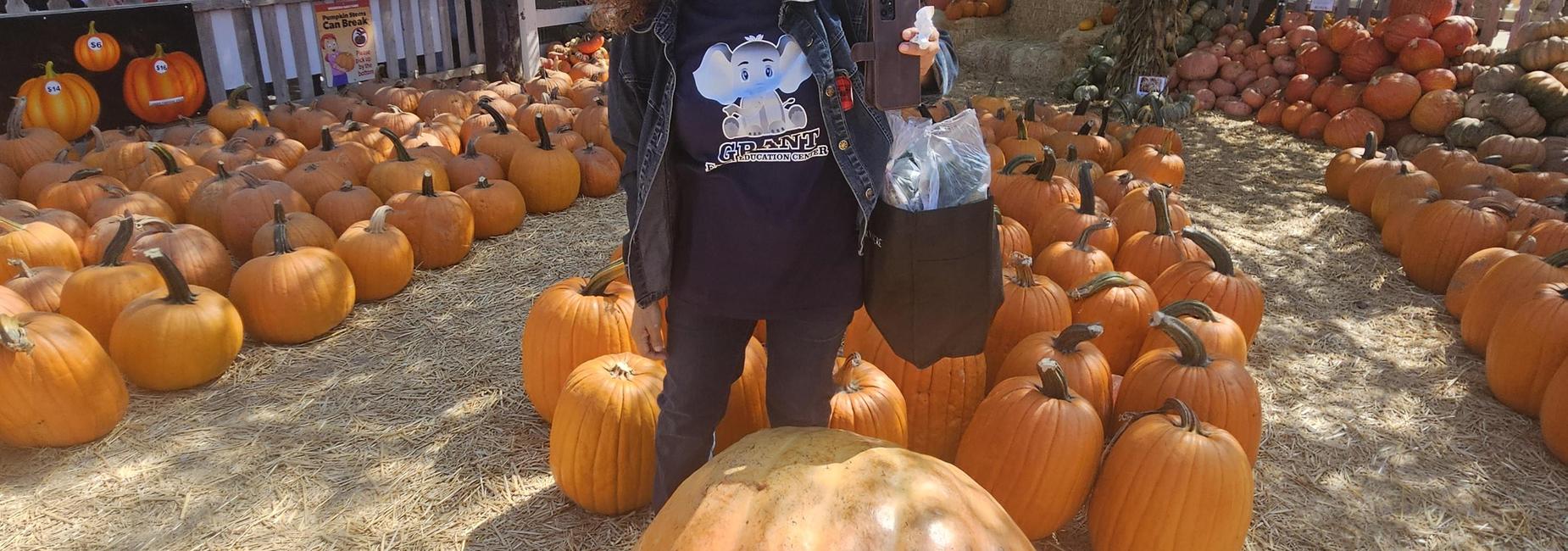 Pumpkin Patch
