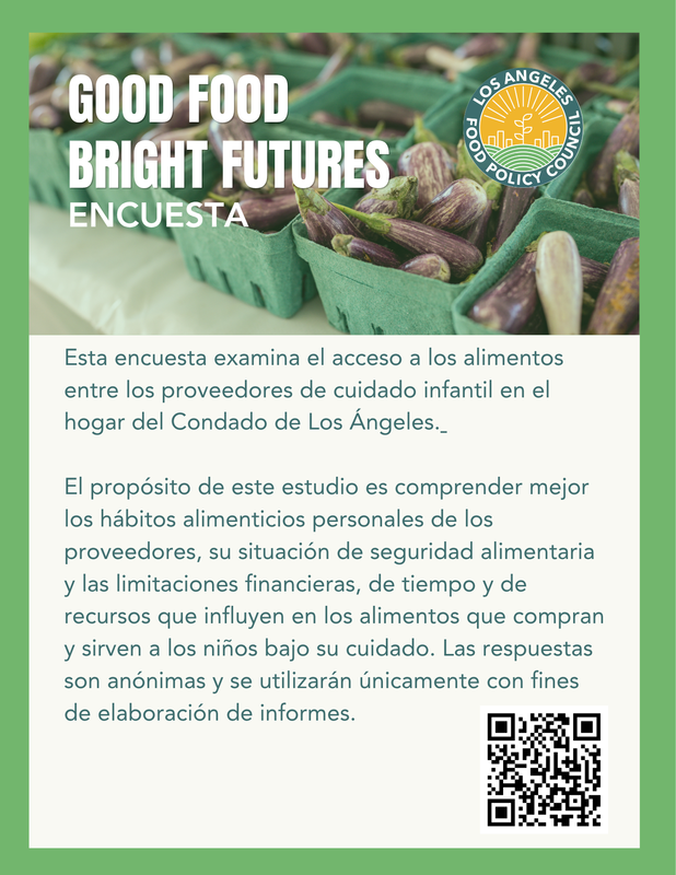 food survey for providers spanish