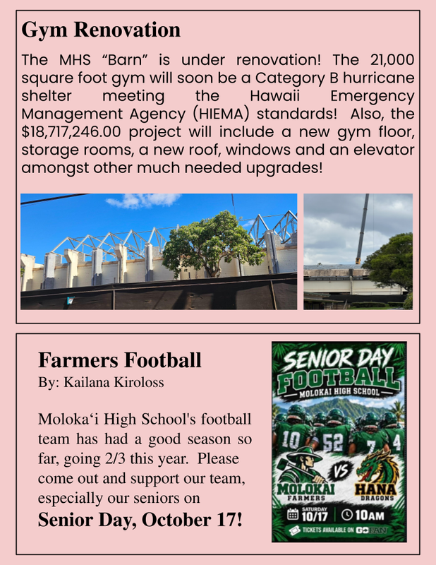 Newsletter