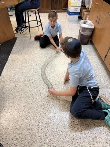 Slinky!