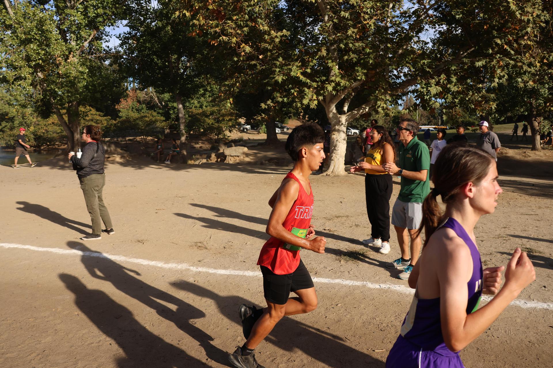 cross country runners in action
