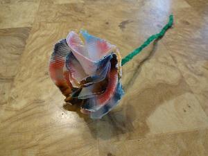 chroma flowers