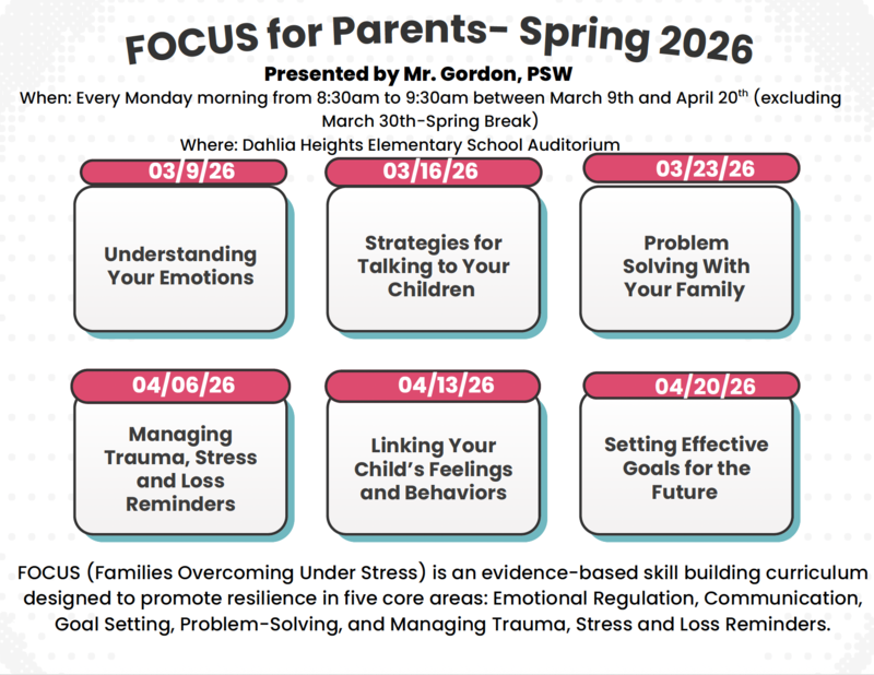 Spring Focus