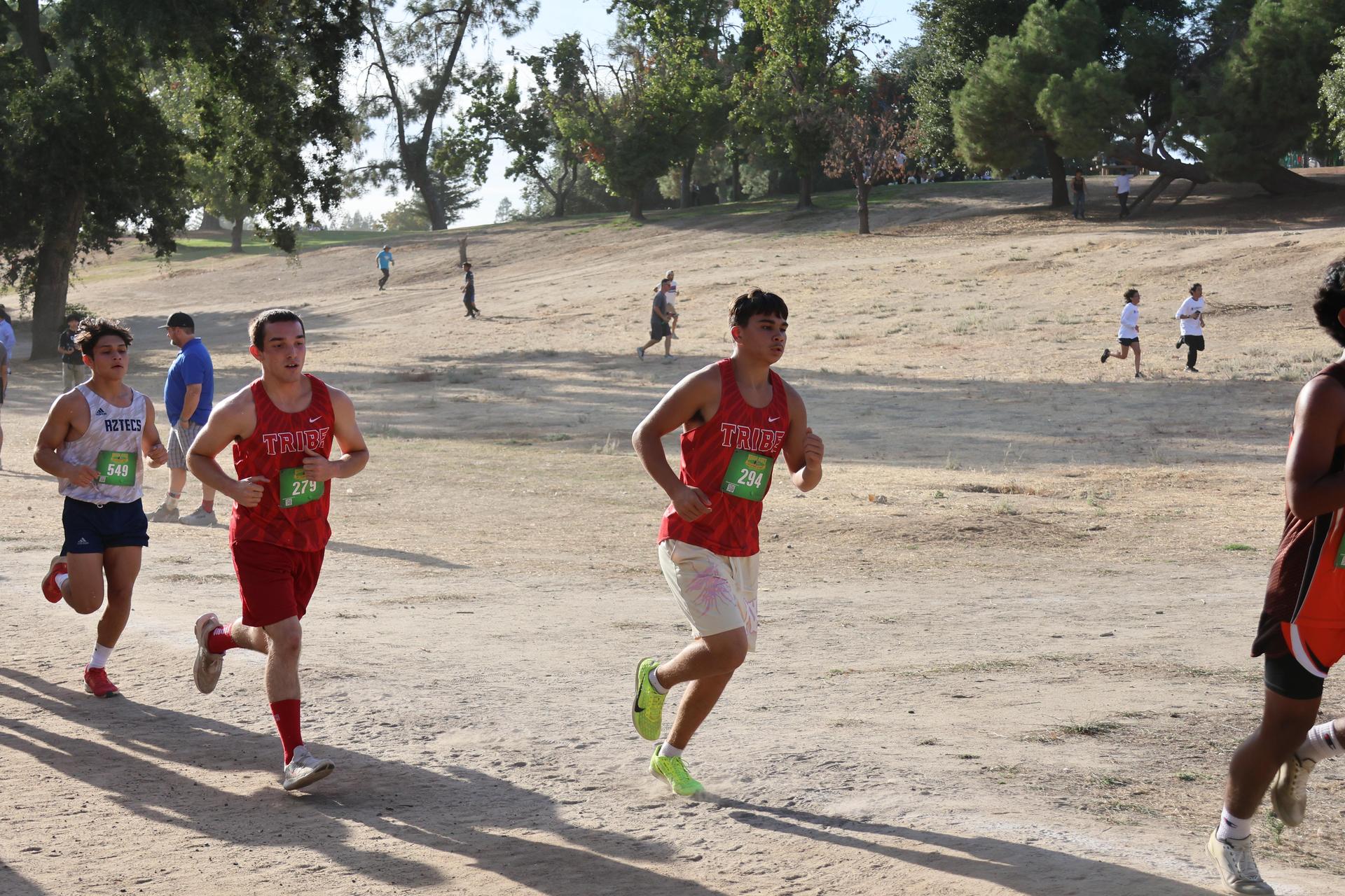 cross country runners in action