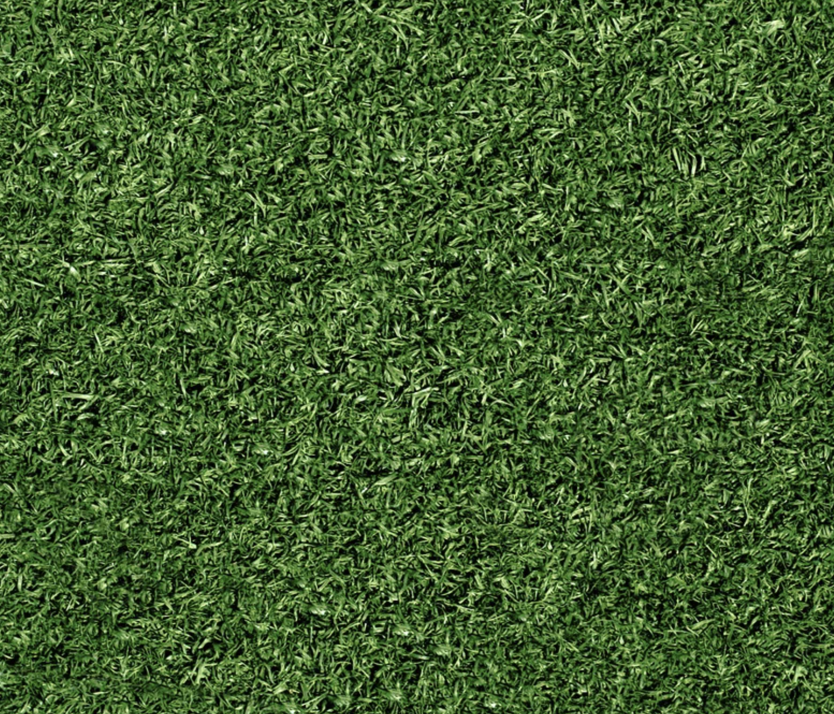 green turf
