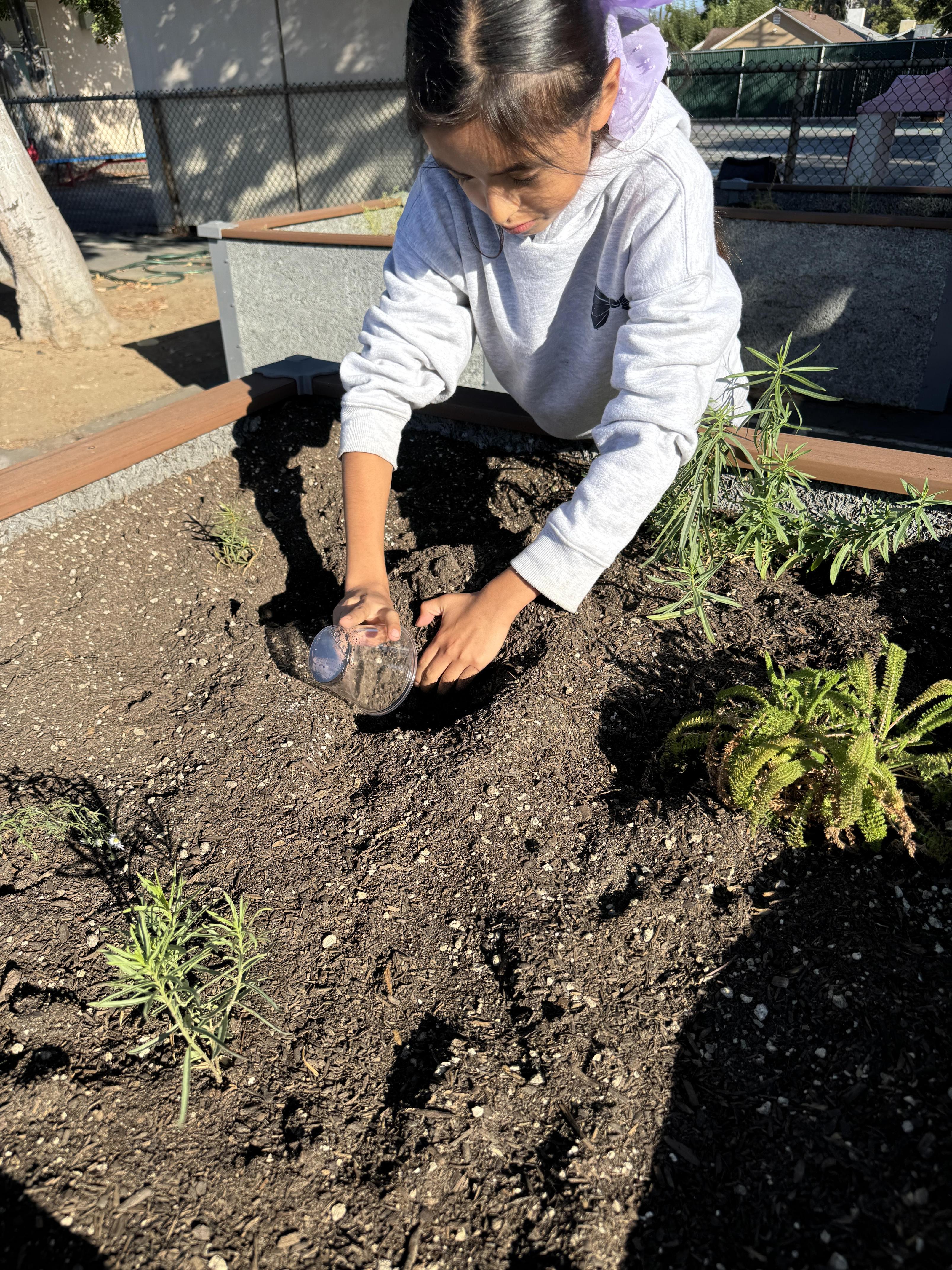 Students working on stewardship project