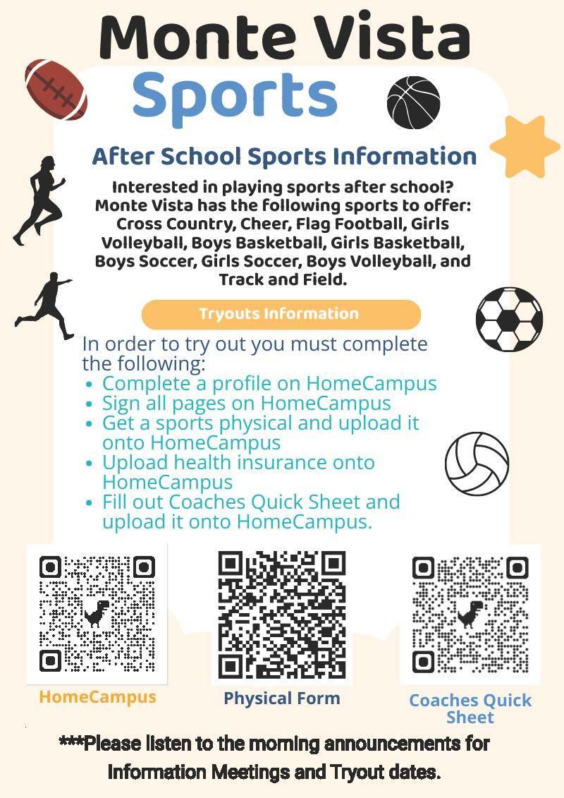 Sports Flyer