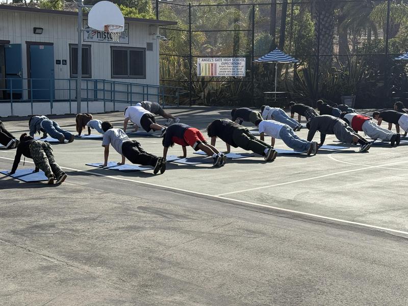 PE