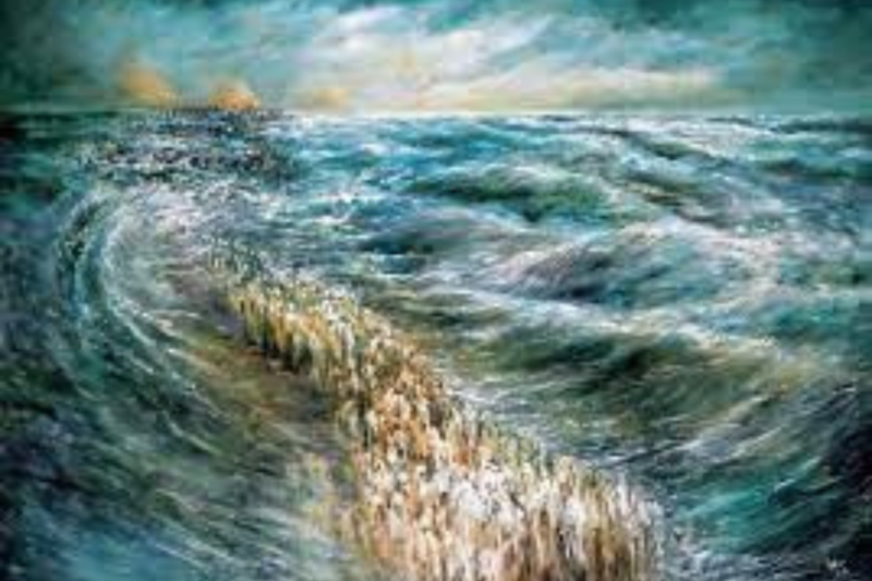 Rabbi Silvestri's Round Up: 02/02/2023